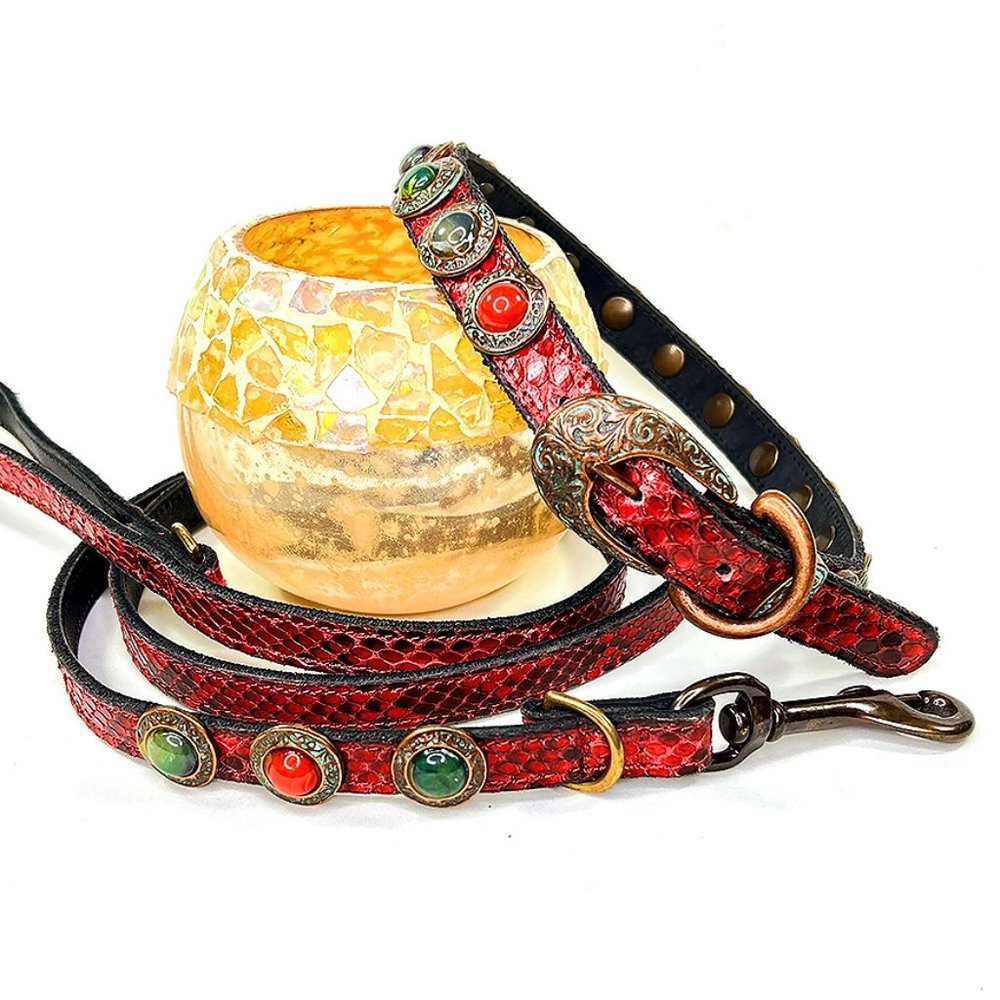 Copper Medallion Snakeskin Collar and Leash
